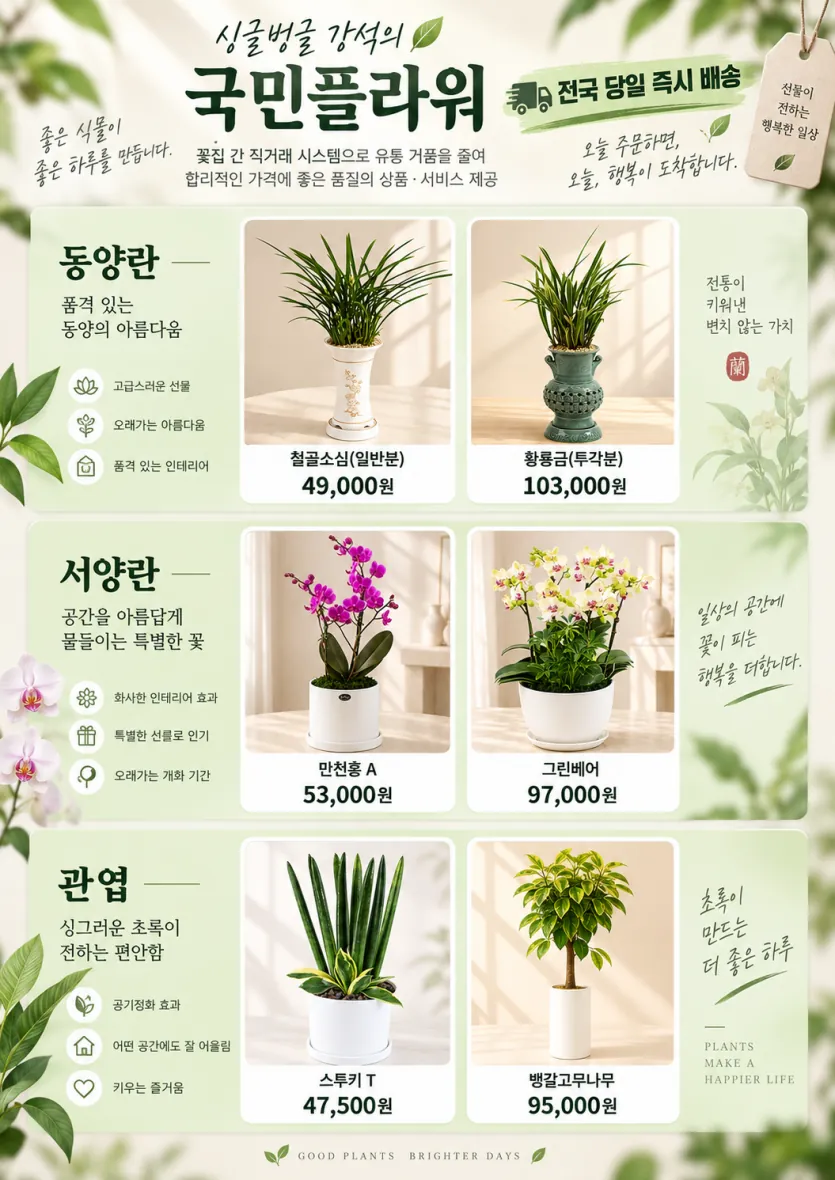 어버이날 부모님께 보내는 국민플라워 동양란·서양란·관엽 화분 포스터 - 철골소심(일반분) 49,000원, 만천홍 A 53,000원