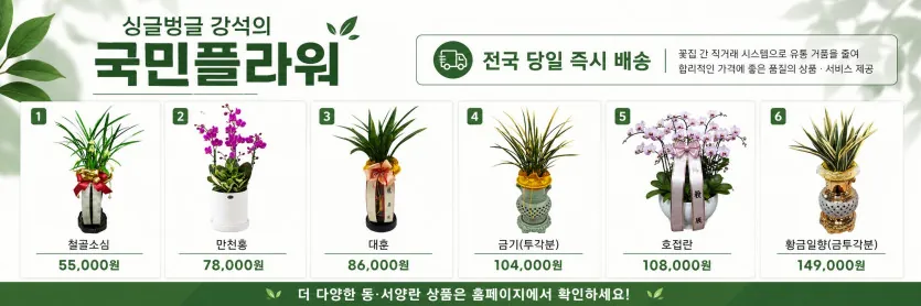 국민플라워 승진·취임 축하 화분 전국 당일배송 안내
