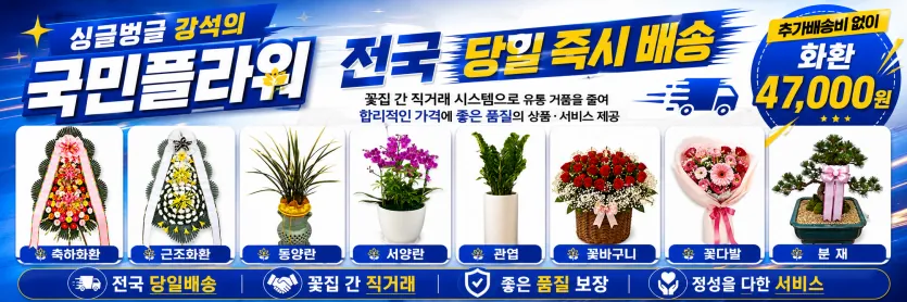 분재 선물 가격 안내 배너 - 서황금 해송 진백 소나무분재 전국 3시간 당일배송 국민플라워