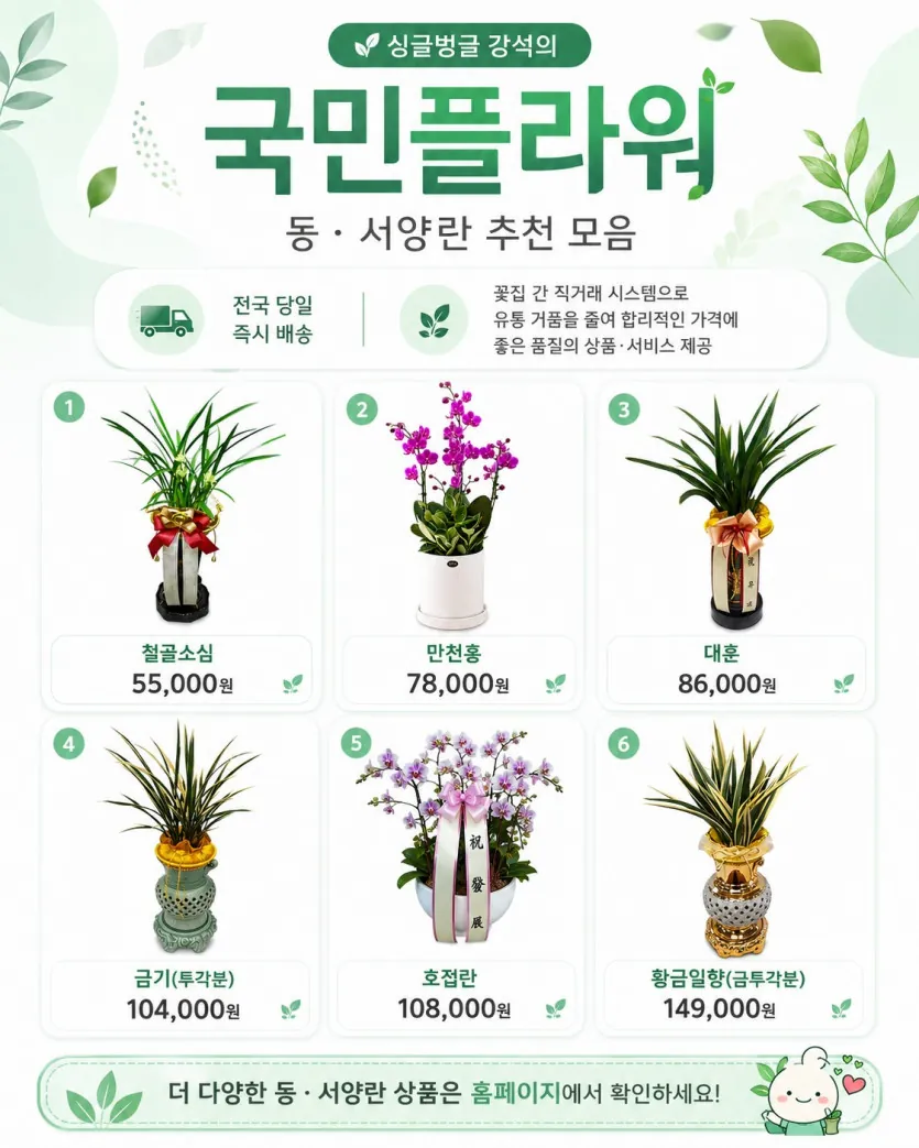 국민플라워 승진·취임 축하 화분 가격대별 안내