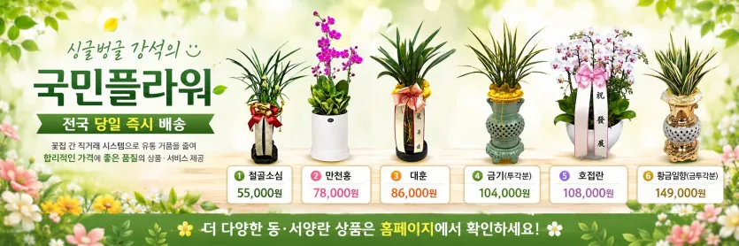 국민플라워 승진·취임 축하 화분 전국 배송 안내