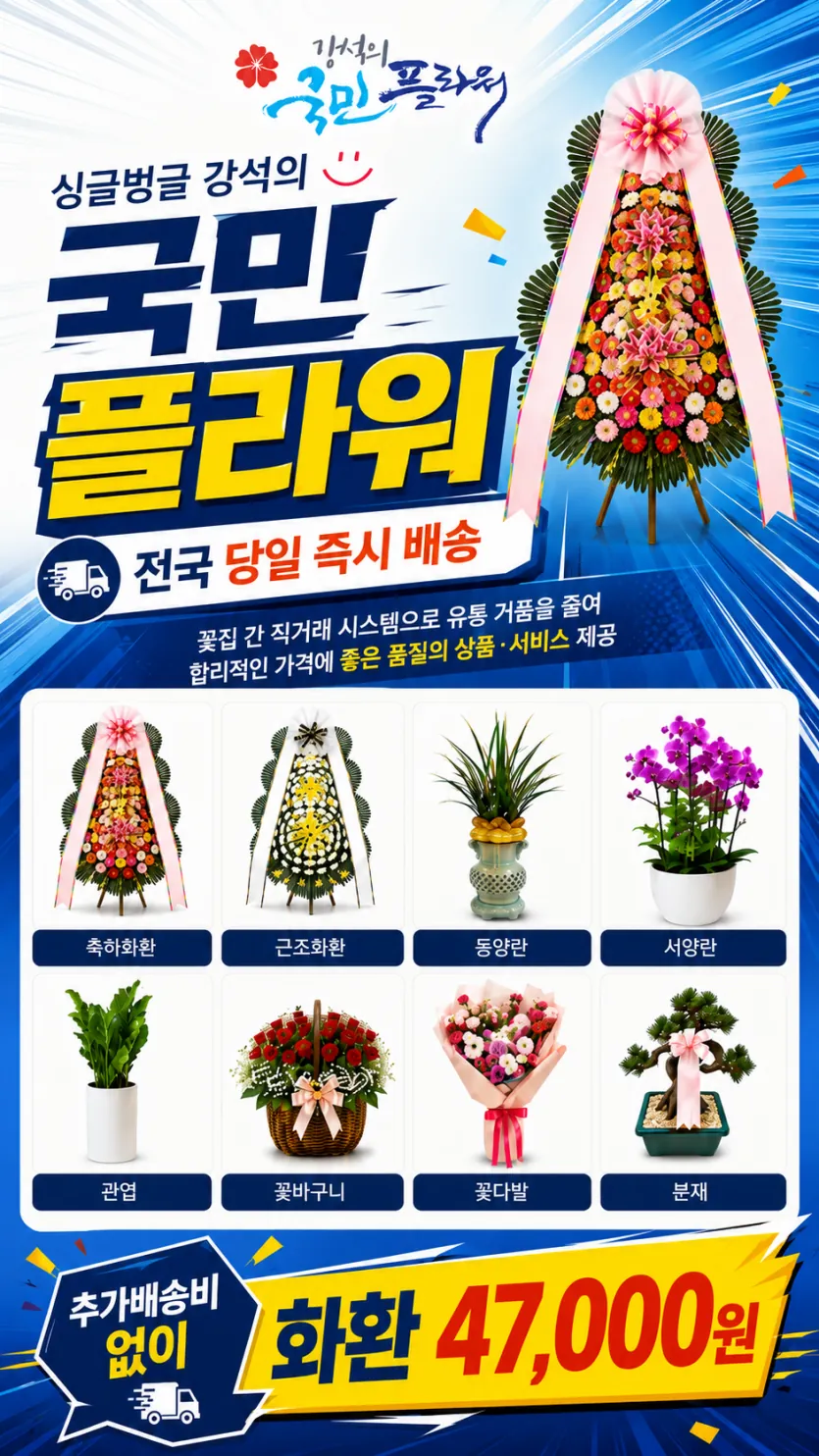 분재 선물 가이드 - 국민플라워 해송 진백 소나무 분재와 난 관엽 화분 전체 라인업 141,000원부터